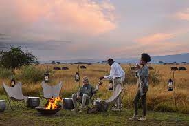 best tanzania luxury safari tours
